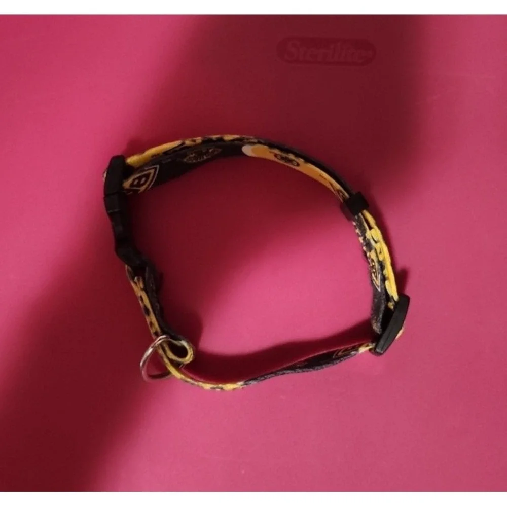 Bruins Dog collar Large‎